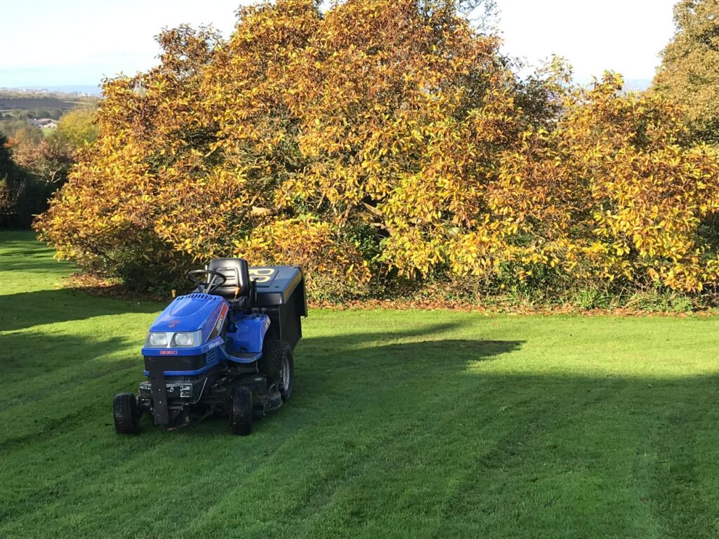 grass cutting